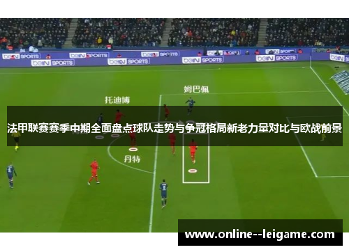 法甲联赛赛季中期全面盘点球队走势与争冠格局新老力量对比与欧战前景