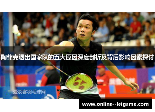 陶菲克退出国家队的五大原因深度剖析及背后影响因素探讨